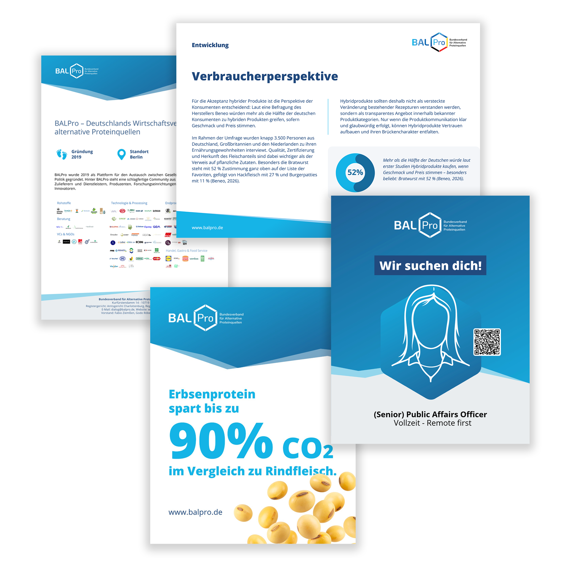 Publikationen und Factsheets von BALPro.